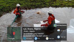 Remediation and Flushing process at Egbalor/Sime